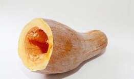 今日吃瓜的图片素材 初代网红雪梨被曝大瓜,揭秘背后惊人真相